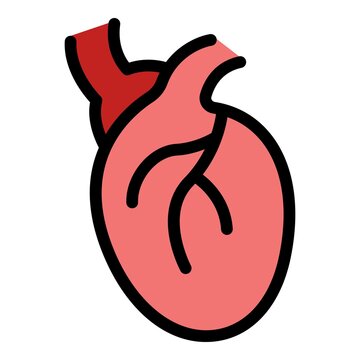 Human heart icon. Outline human heart vector icon color flat isolated