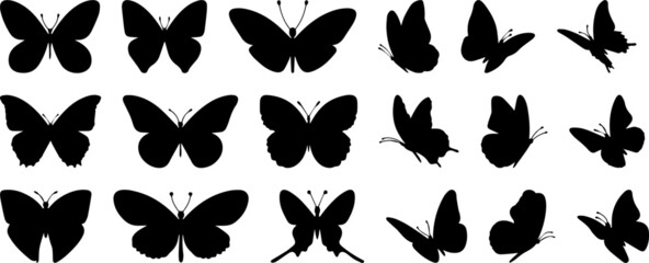Obraz na płótnie Canvas Set of black silhouettes of butterflies, Butterfly icon and logos