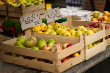 Serbian harvest - a basket of fresh green, red and yellow apples on the farmer's market - zelena pijaca in Novi Sad,  Serbia (Translation from Serbian - 2 kg for 50 dinars)