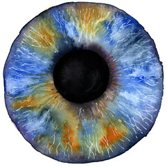 Aquarell Illustration Auge Iris Pupille Abstrakt Watercolor