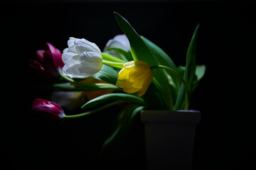 multicolored tulips in a vase on a dark background