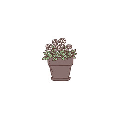 gardenia with flowers houseplant. Indoor potted plant vector outline doodle illustration.