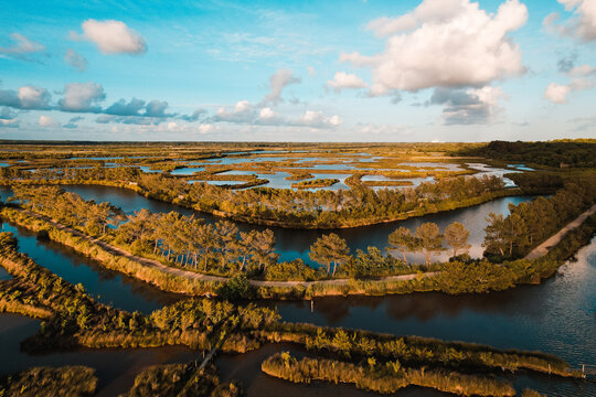 Vue A&eacute;rienne de la r&eacute;serve ornithologique du Teich, bassin d'Arcachon.
