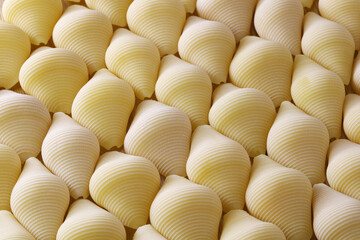 conchiglioni, italian jumbo shell pasta
