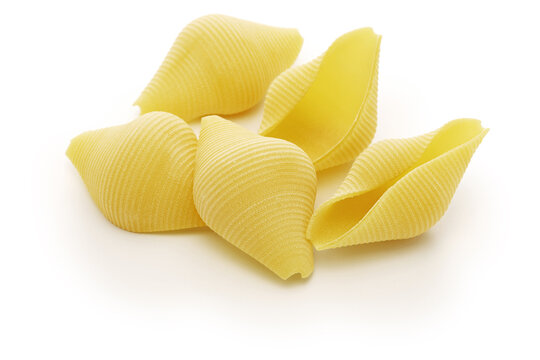 conchiglioni, italian jumbo shell pasta
