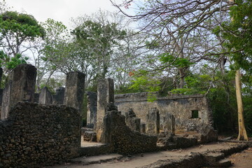 The fascinating Gedi ruins located in between the lush vegetation of Watamu