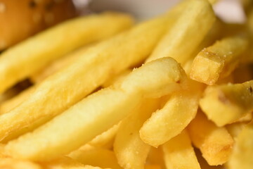 Hamburger with meat and fries on a plate
