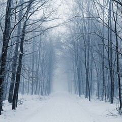Snowy road with trees. Dangerous driving in the snow in winter. Concept for traffic and bad weather.
