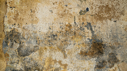 Fototapeta premium very old texture background structure
