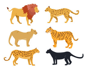 Realistic wild cat cartoon characters vector illustrations set. Drawings of big cats: lion, jaguar, cougar, tiger, cheetah, black panther isolated on white background. Wildlife, fauna, zoo concept