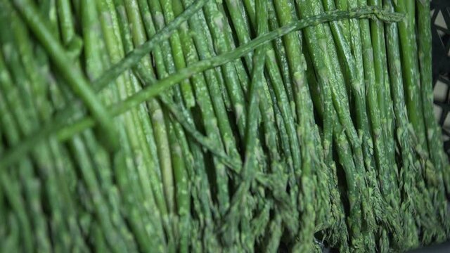 Asparagus in boxes in a industrial food large cold storage refrigerator. Slow Motion