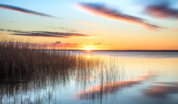 sonnenaufgang am bodden
