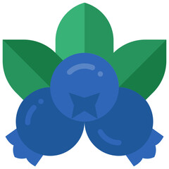 blueberry flat icon