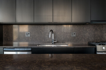 Closeup of Sink and Faucet in Dark Brown Kitchen