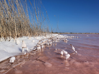 Fototapeta premium Vega Baja del Segura - Torrevieja - Salinas de Torrevieja, un lago salado aun en verano nos muestra un gélido paisaje de hielo y nieve.