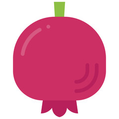 pomegranate flat icon