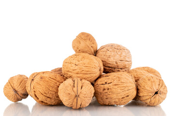 Several ripe walnuts, close-up, isolated on white.