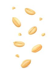 Falling down shelled peanut kernels and crumbs isolated on white background. Realistic vector illustration.