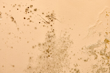 Excessive moisture causes mold and peeling paint walls, such as rainwater leaks.