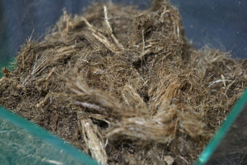 peat soil for growing plants