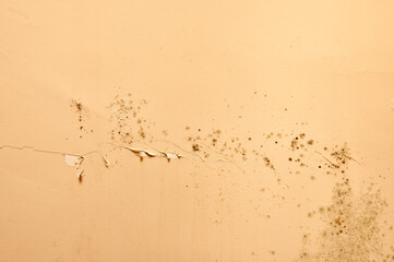 Excessive moisture causes mold and peeling paint walls, such as rainwater leaks.