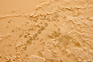 Excessive moisture causes mold and peeling paint walls, such as rainwater leaks.