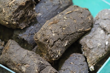 peat soil for growing plants