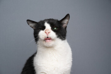 handicapped rescued black and white cat toothless and blind in one eye with mouth open sticking out...