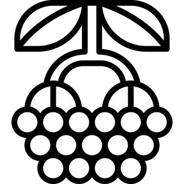 Elderberry Line Icon