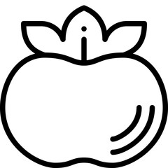 persimmon line icon