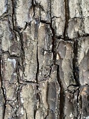 texture