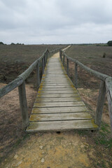 boardwalk in the countryside