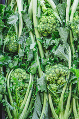 Cime di rapa, rapini or broccoli rabe in a field, green cruciferous vegetable, veggies,...