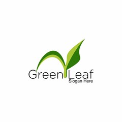 green leaf logo design, ecological vector design, flourishing leaf template vector image