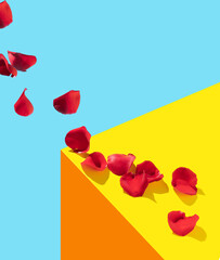 Red rose flower petals on colorful background. Minimal nature or woman's day concept. Creative background.