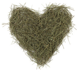 Heart shape of pine needles  isolated on white background. Heap of green coniferous tree needles.