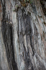 Shale layers found in the mountains of Sichuan, China