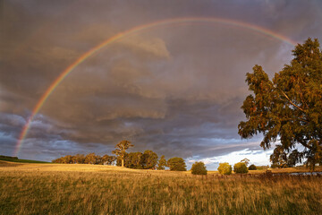 Regenbogen über einer tasmanischen Graslandschaft
