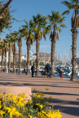 Paseo en Alicante, casas, puerto y palmeras, España