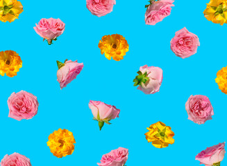 Creative pattern made with pastel pink and yellow rose flowers on blue background. Minimal spring concept. Valentines Day or 8 March idea.