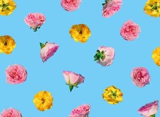 Creative pattern made with pastel pink and yellow rose flowers on blue background. Minimal spring concept. Valentines Day or 8 March idea.