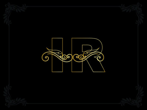Luxury IR logo, Creative Slime ir Luxury Letter Logo icon Vector Image Design For Your Luxury Business