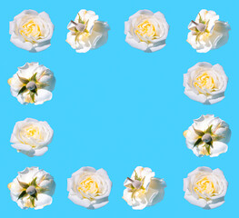 Creative spring or summer frame made with white rose flowers on sky blue background. Social mockup with copy space. Valentines Day or 8 March card.