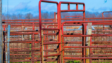 Gates on a farm in Missouri