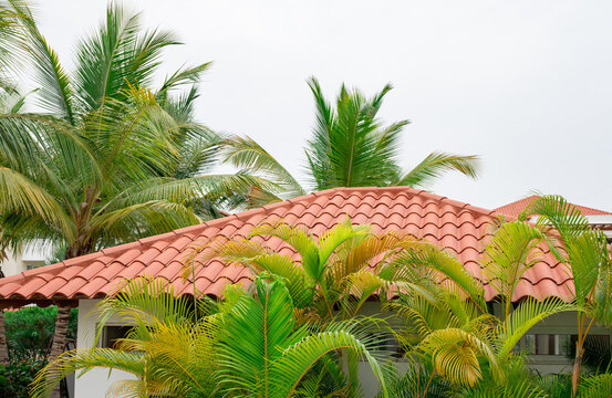 red tile roof palm