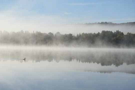A fog on the lake, Sainte-Apolline, Québec, Canada © Claude Laprise