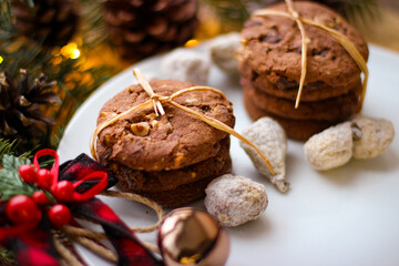 Christmas motifs. Delicious cookies for Santa.