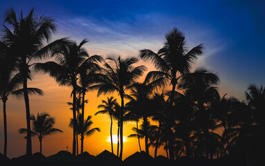 Obraz premium beautiful sunset of the caribbean