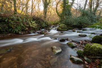 Naklejka na ściany i meble Long exposure of the river Horner flowing through Horner woods in Somerset