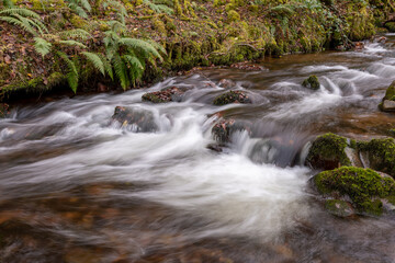 Long exposure of the river Horner flowing through Horner woods in Somerset